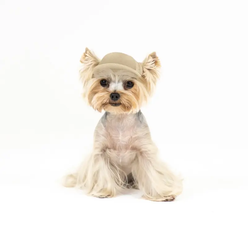 ac·green® × puplid® Eco & Cozy Pet Cap GPP1, TINY-2KH-Blank Asset