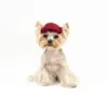 ac·green® × puplid® Eco & Cozy Pet Cap GPP1, TINY-2RD-Blank Asset