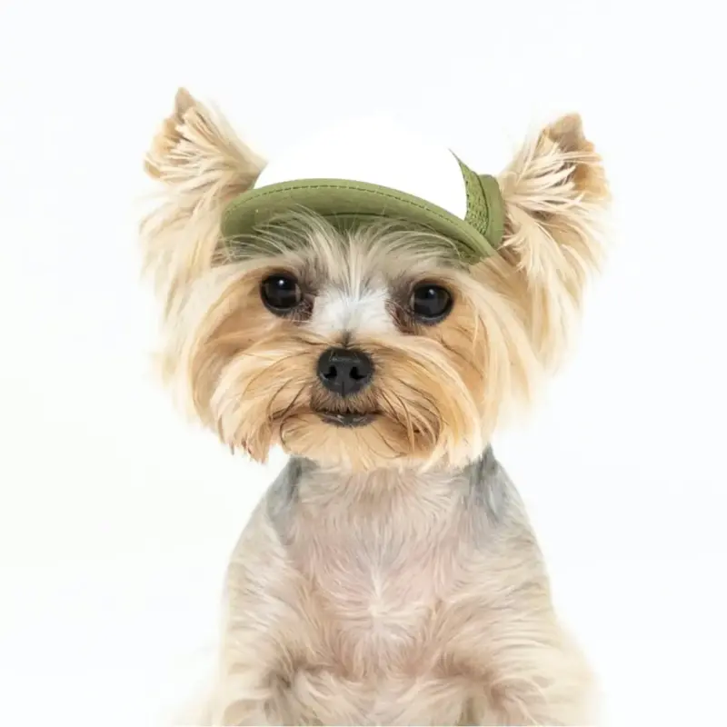 ac·green® × puplid® Eco & Cozy Two-Tone Pet Cap GPP2, TINY-GR-Blank Asset