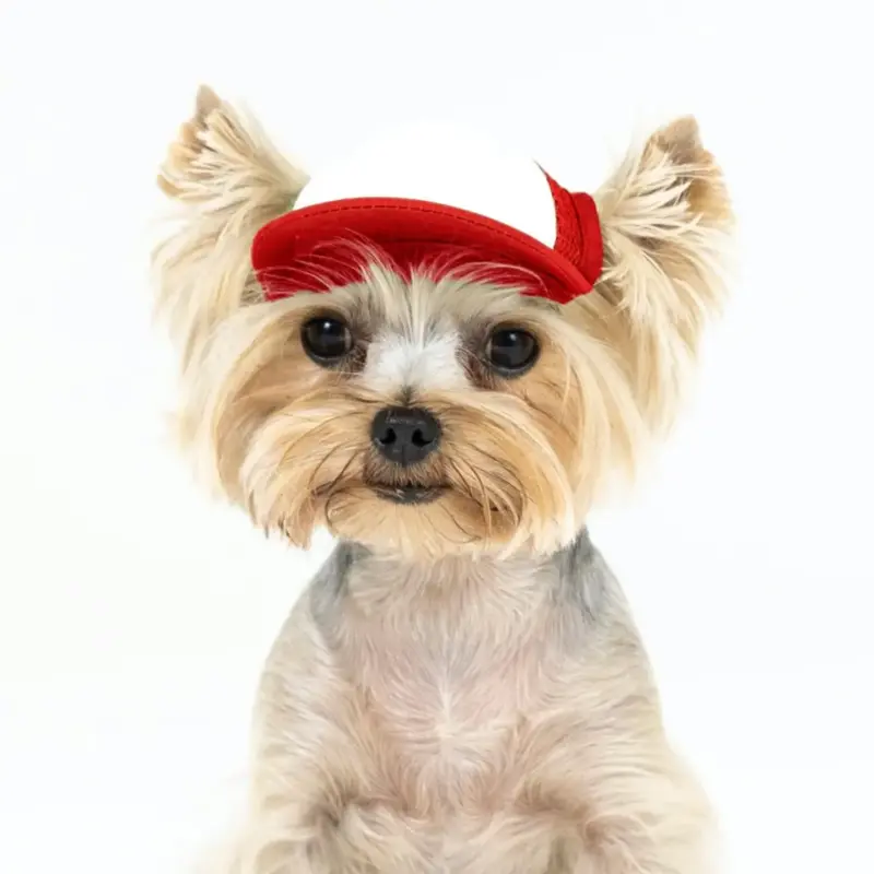 ac·green® × puplid® Eco & Cozy Two-Tone Pet Cap GPP2, TINY-RD-Blank Asset